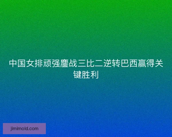 中国女排顽强鏖战三比二逆转巴西赢得关键胜利