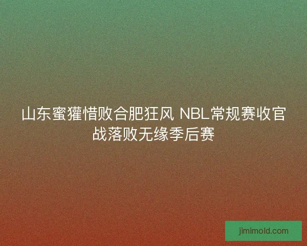 山东蜜獾惜败合肥狂风 NBL常规赛收官战落败无缘季后赛