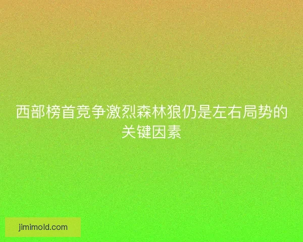 西部榜首竞争激烈森林狼仍是左右局势的关键因素 西部榜首竞争激烈森林狼仍是左右局势的关键因素