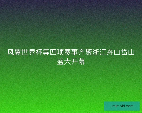 风翼世界杯等四项赛事齐聚浙江舟山岱山盛大开幕