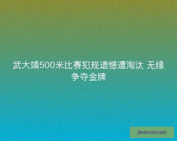 武大靖500米比赛犯规遗憾遭淘汰 无缘争夺金牌